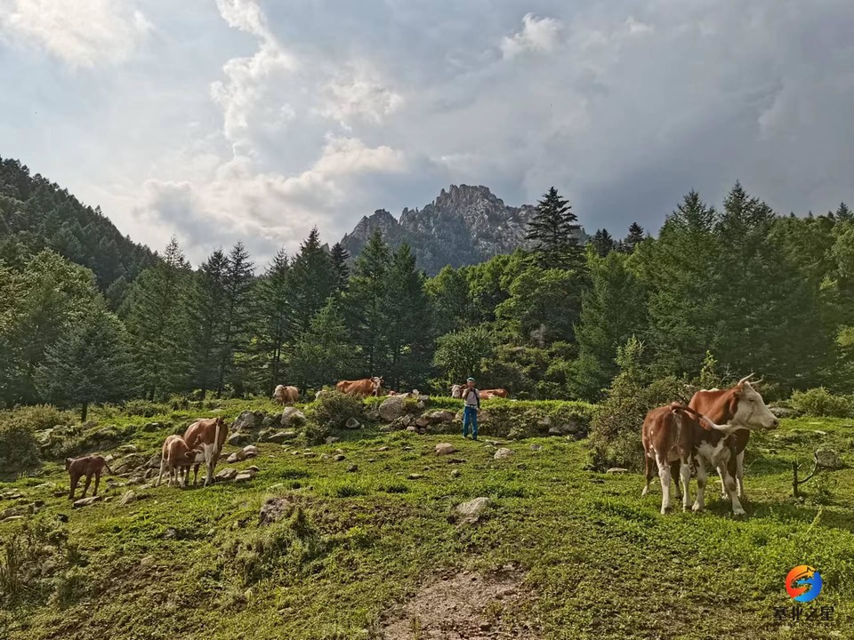 78oH2ZWrXRiagb6rnGpRgxm_aaNpIXw2kG754M8ovD7qmcZWunsaKYDkI5ZKsffA