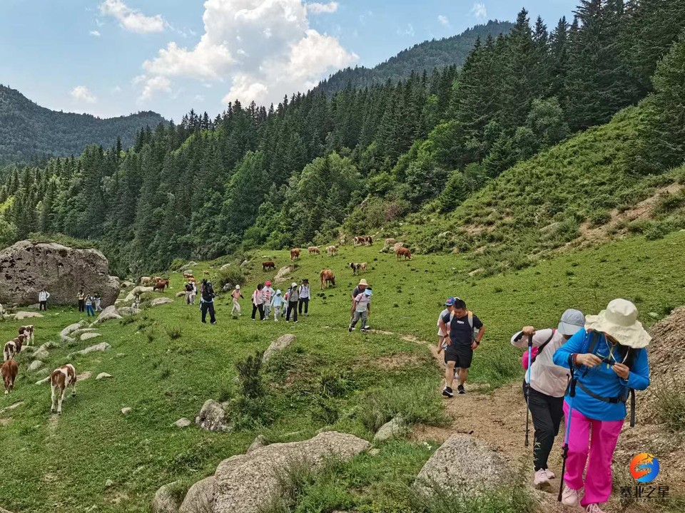 78oH2ZWrXRiagb6rnGpRgyRGZq4bFhxknWWJLMJVdZhmYV1_AzkGPB-6C-oCdR6I