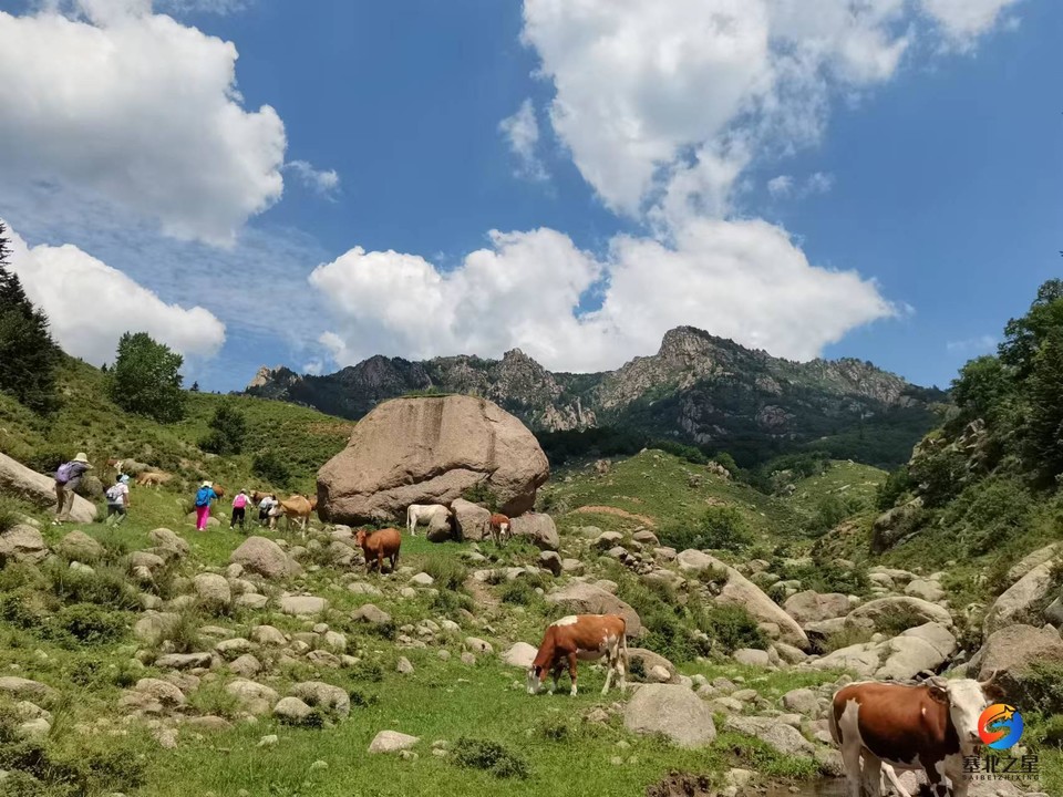 78oH2ZWrXRiagb6rnGpRg2urWxis1VHx_Y8AZ09qFHMiyp2fH2g8vHdB2O6pFlts