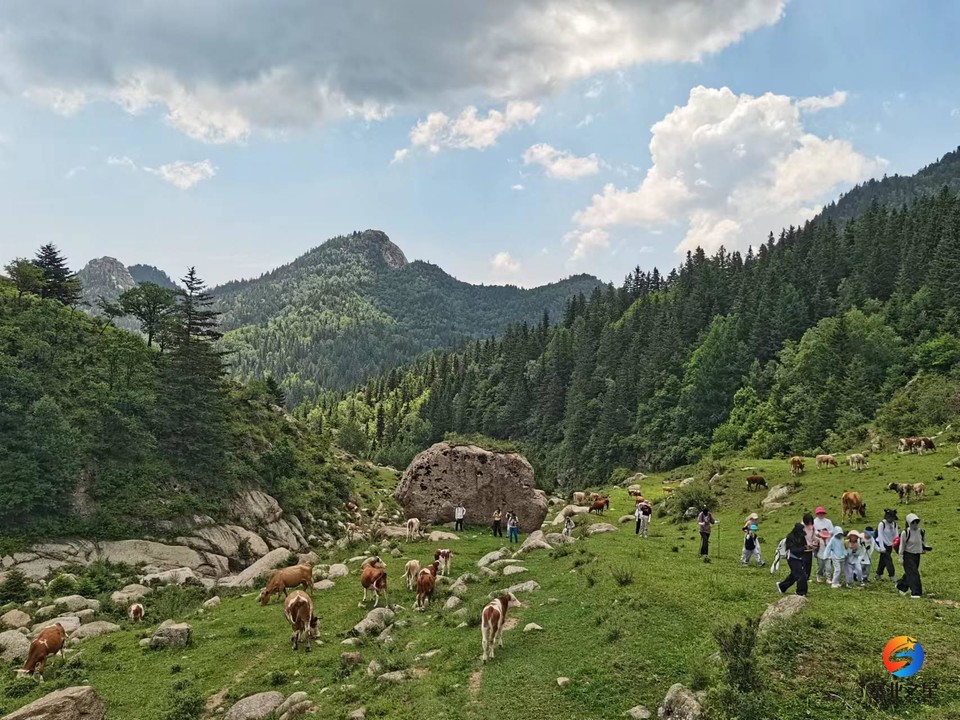 78oH2ZWrXRiagb6rnGpRgy_GZuUlM3FihI3BZgDz1QZVgu8-6Ft1iAQtSGBU4CfZ