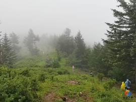 xmvej-K3jAbDRa0IXdA8xBznAS4PDWKs4tkWwlunknHQOdRDGqcr-YrEOjk3RMBe