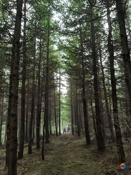 xmvej-K3jAbDRa0IXdA8xMHKLisxe7jDkrInozD_a8nqJIgBut809jzcJElYrdNa