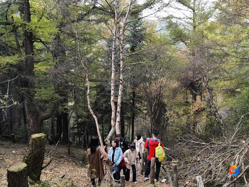 UjF0m3W31wPOt5F4x8QdO9FF8RCSQKNLKXQZTRi45seKEh0SONvOk3joJZxWWeI6