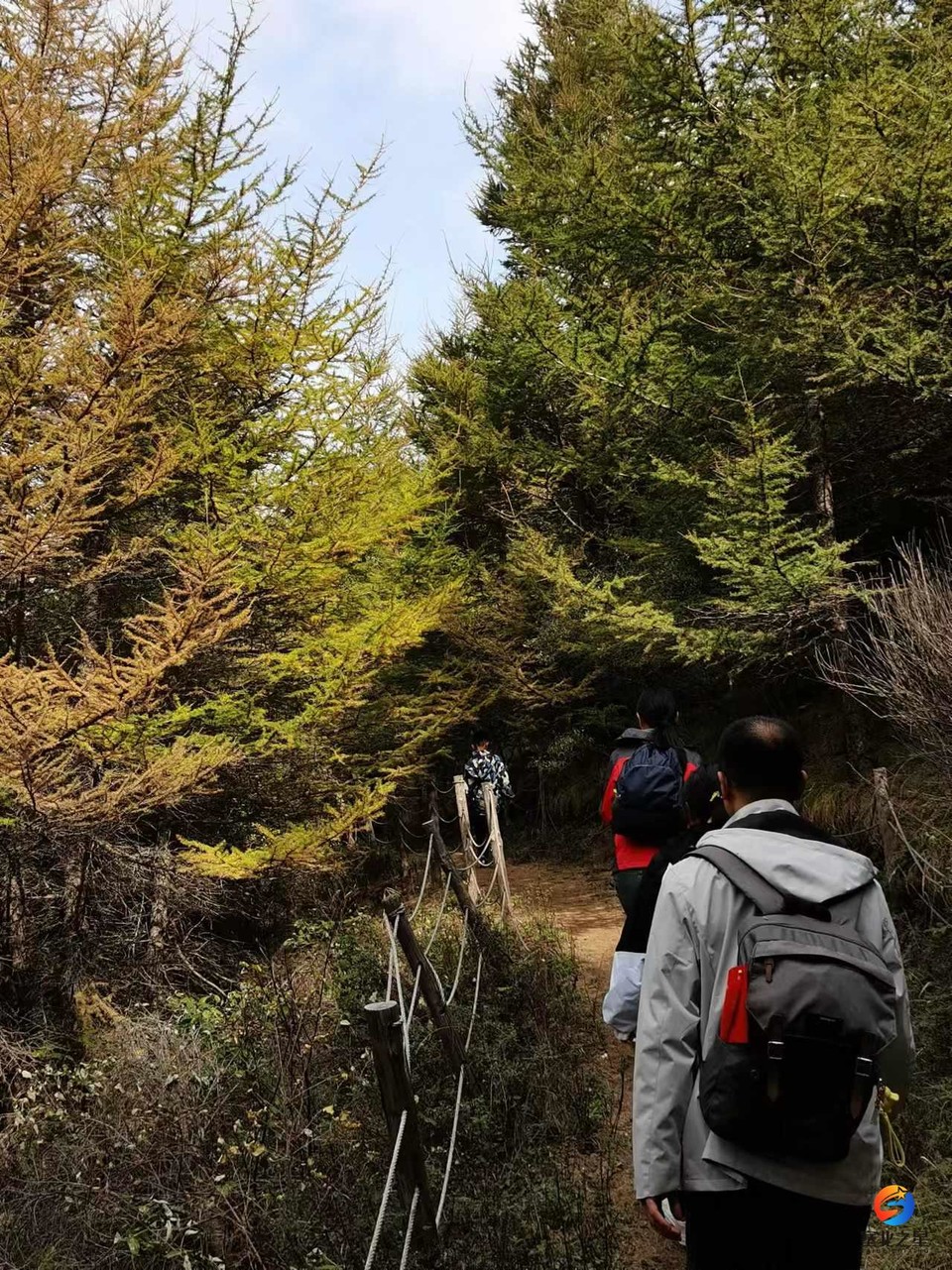 UjF0m3W31wPOt5F4x8QdO1GeBRVOjR1lp1zlQ2X7KzMhGKj0rdTGfbeIkeiC43GC