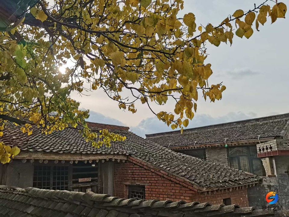 BpnWcVh0h2KBFEEdZzNkNZ9W8x33n8kNDnNEBBm9V2ULB2bUwllW-EYwM81RrovX