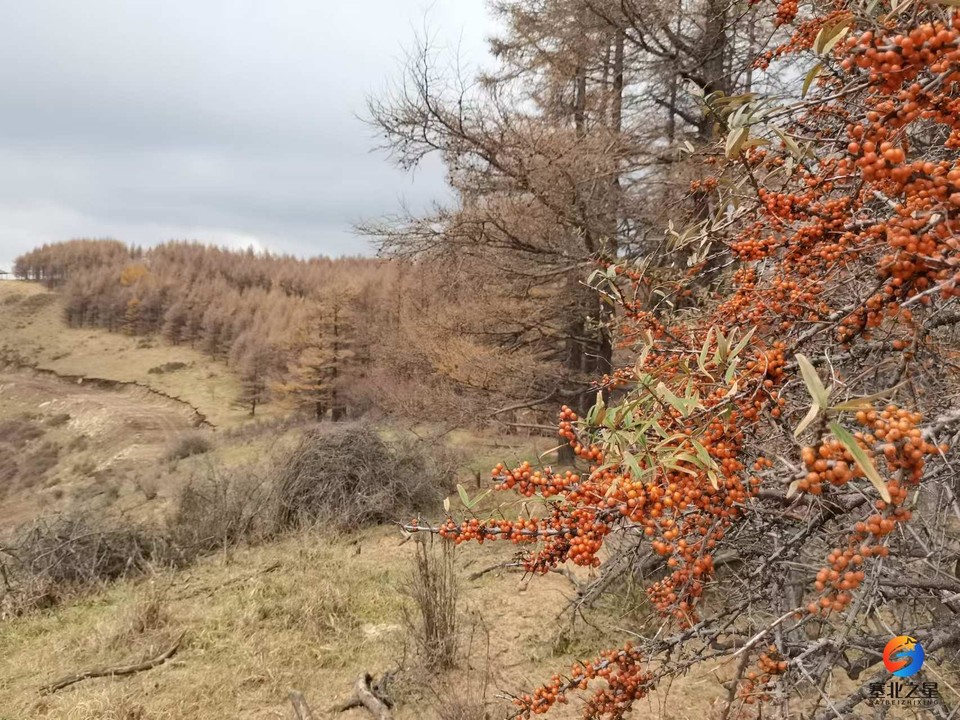 BpnWcVh0h2KBFEEdZzNkNWdEOaeSYug_NujCkXtWfAvqwRdBKzNnB-Hzhd0hf9mj