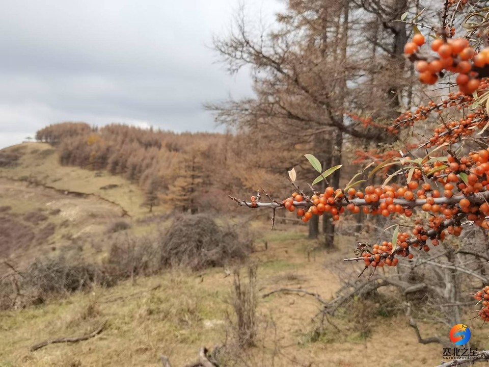 BpnWcVh0h2KBFEEdZzNkNfMDku4t9S2VvCUkMld3XJVFGL-JOZfjUX3-be2Zcj0I