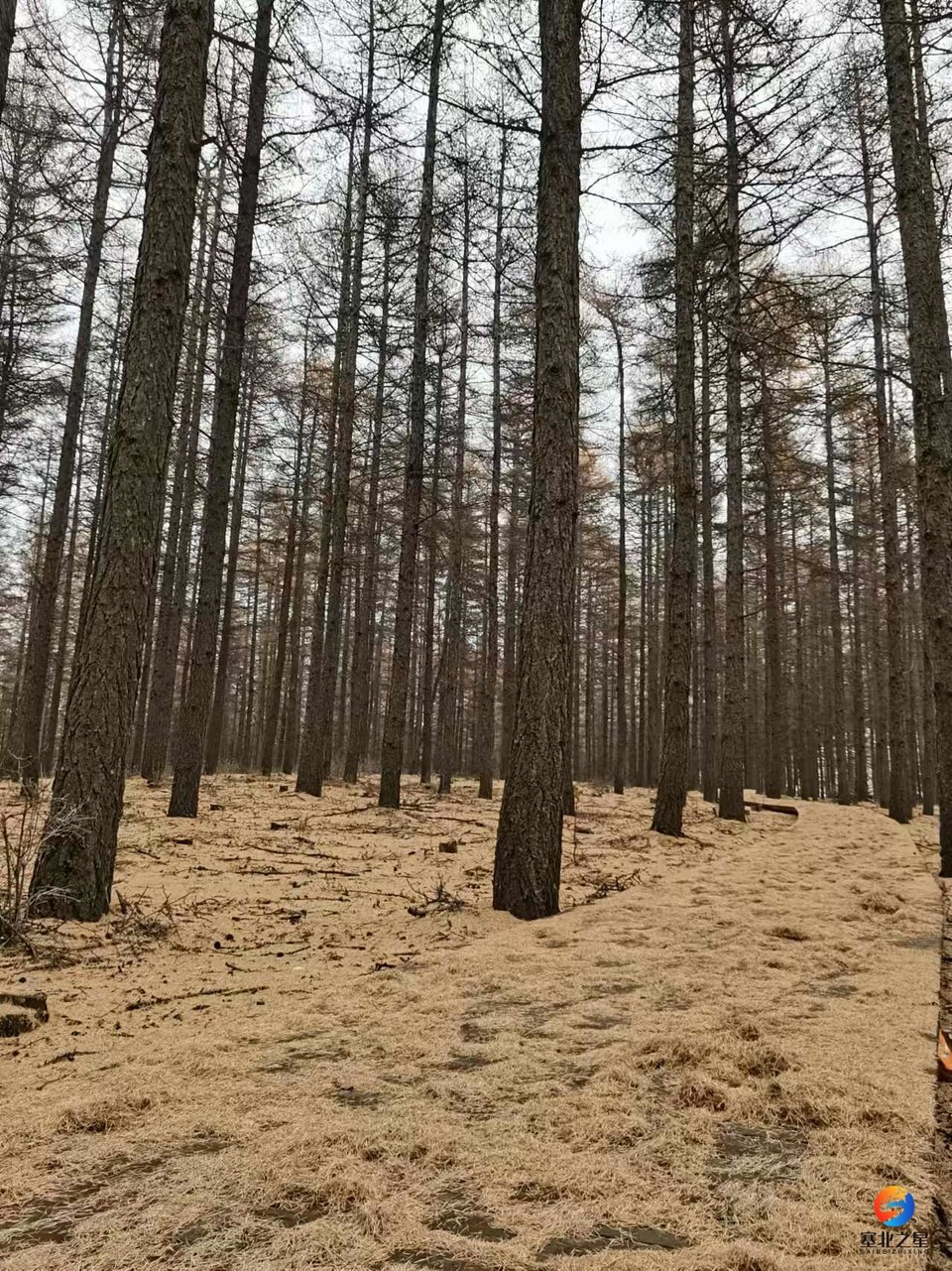 BpnWcVh0h2KBFEEdZzNkNWDVxSEF4RyKW0pMKvWfxmWWtRKkWl8bK0rDX-6WGsH8