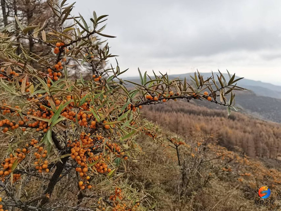 BpnWcVh0h2KBFEEdZzNkNQGyFzlhgxdPW_TOADKZLHkdAyoYNgUmsZIdkCiNfs5u