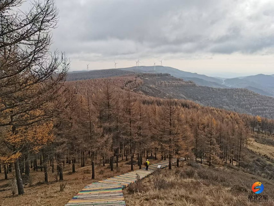 BpnWcVh0h2KBFEEdZzNkNdlFj4Lf6jpp8stKQvg6nPmbxkvifAFUWFvEQXCc0HE1