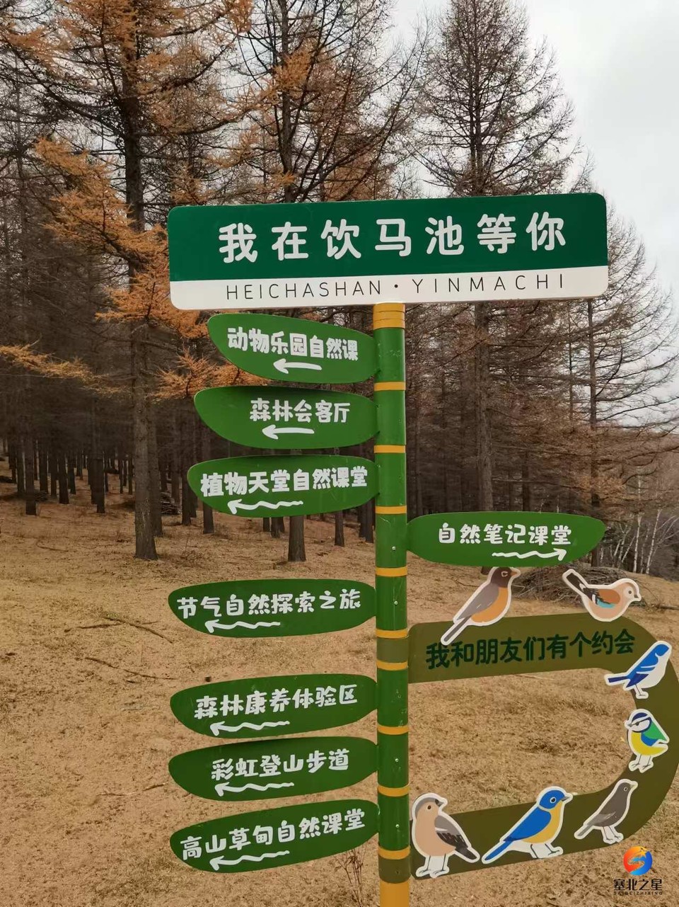 BpnWcVh0h2KBFEEdZzNkNYWPlUR1LgctiUEIiuQraG_fPYnsJES6KnncBFzVdLyh