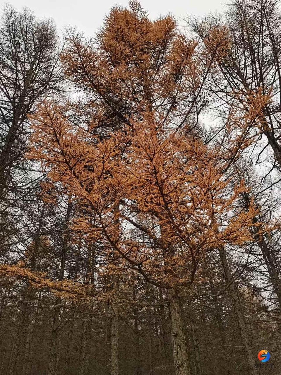 BpnWcVh0h2KBFEEdZzNkNYPtqm4g2UhuWlce4BU5zmlPgUdhlwZ2YYg-WhJuX40e