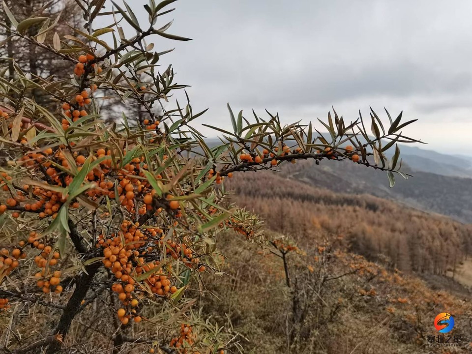 BpnWcVh0h2KBFEEdZzNkNZTEii3-NtqdxZ0pzrQB5rz9ryWCLEXH8_FhnQ6PE8Ue