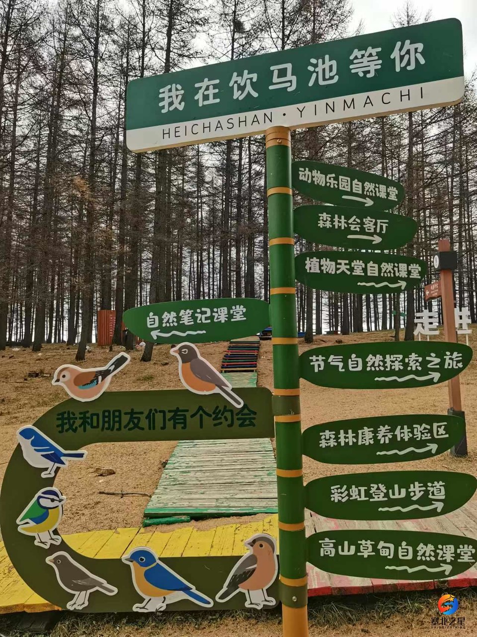 BpnWcVh0h2KBFEEdZzNkNYW6MLv5antqhmA-6-n7ydJnnYuYWd7K7TVgcree1c6d