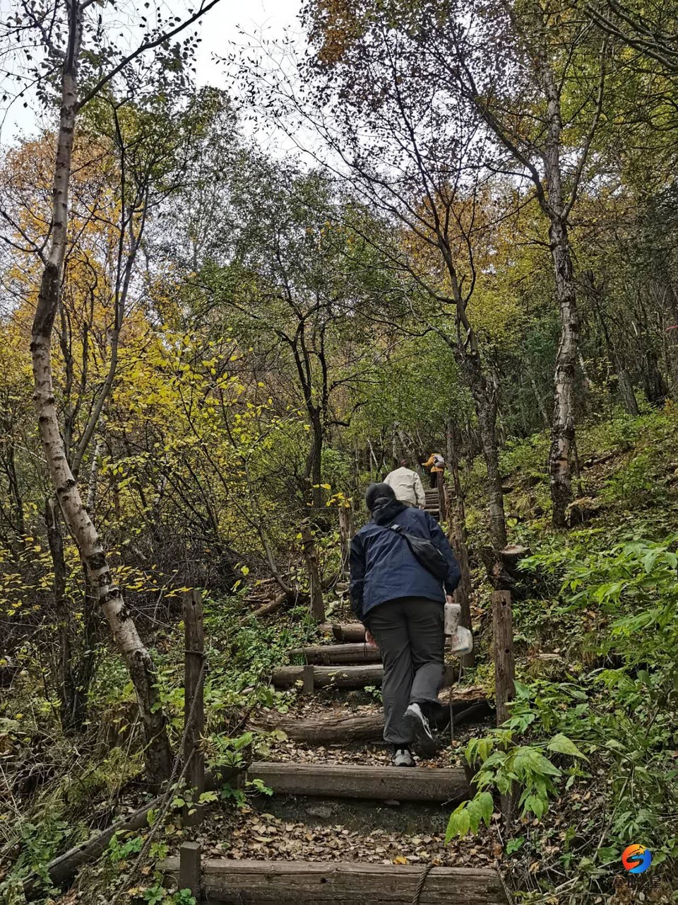 cieNHVt5h4Znmbhv9r-MRnhYKhIioR8bXs_Mt6D94w3Miao_4-0KltqJGbG4b2VP