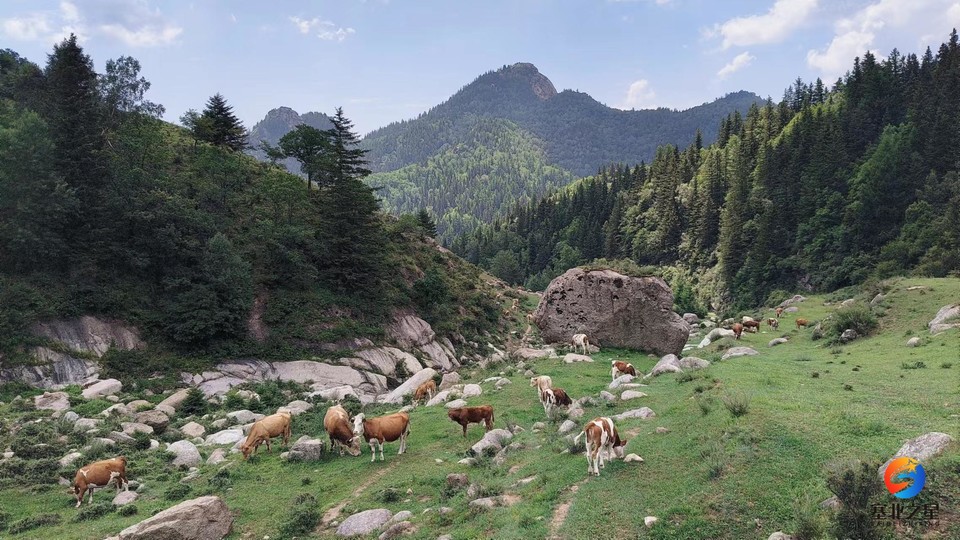 HIlBv953DsxtLuUR0jp1zurIg5AWnr2kDVI6kCy8ZXa598cnBKqNcFex5MoV0z4x