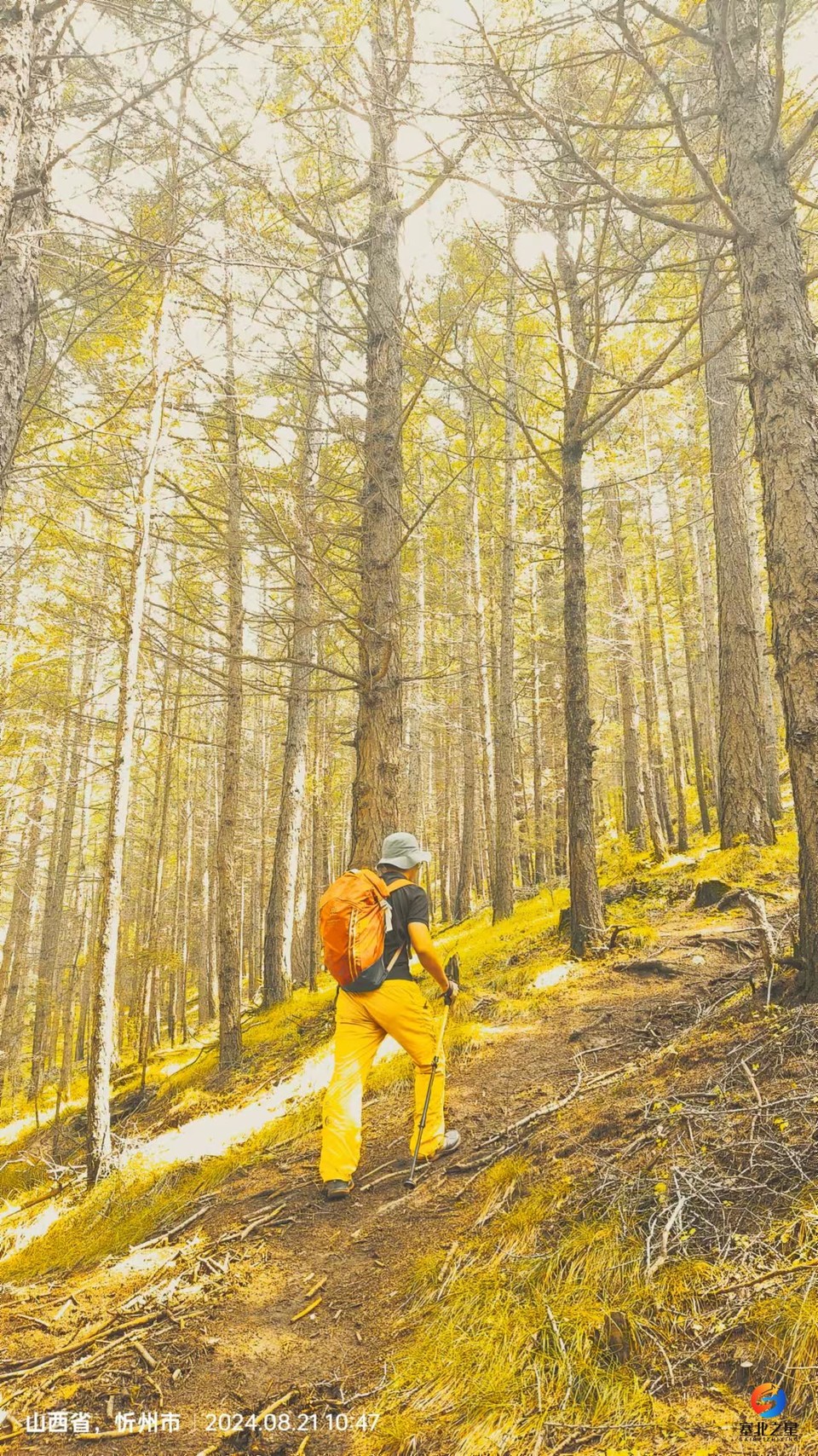 Nw5qMjQru3cPSq2y_DoNaE05nZ-7xmtp0AS4h7souxQ_5reBsUfnh7nIkNIgaJeL