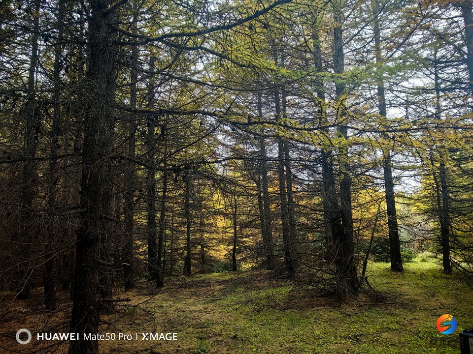 cieNHVt5h4Znmbhv9r-MRmmwnKcHnYDLXhkVUmPE4kbYw_s22ib-6AwrD2UXC2kD