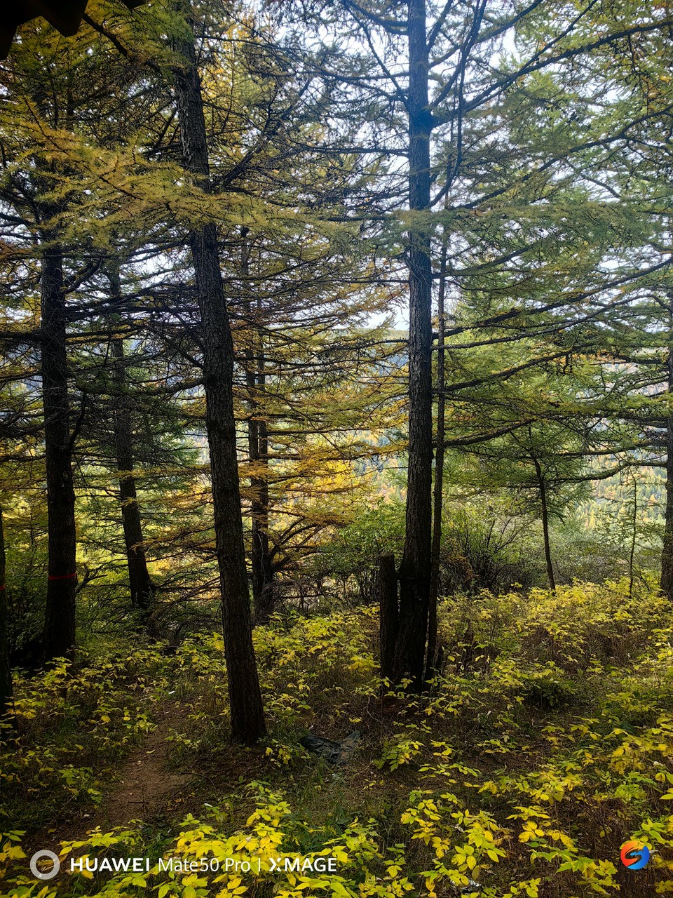 cieNHVt5h4Znmbhv9r-MRv-WG0pVILRLA_MUDItHbN8y1uLkrHOZqh2yztGoGQLe