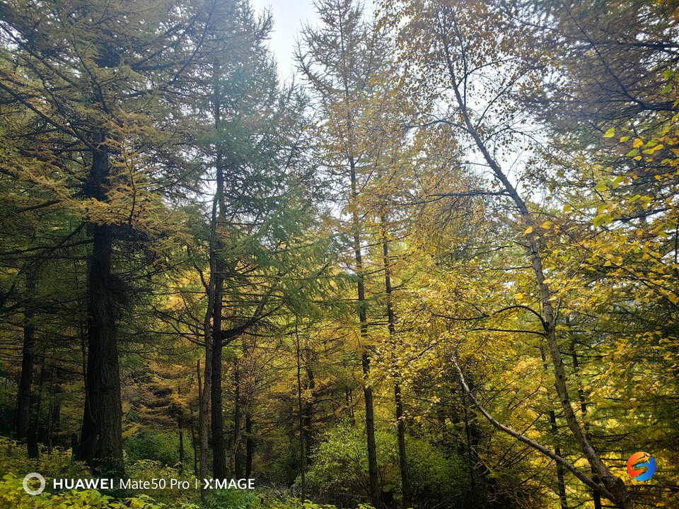 cieNHVt5h4Znmbhv9r-MRgWb6Jkz3o8H-2-2s1UcCYdjgEtepqUvTdcjXbqyzjgx