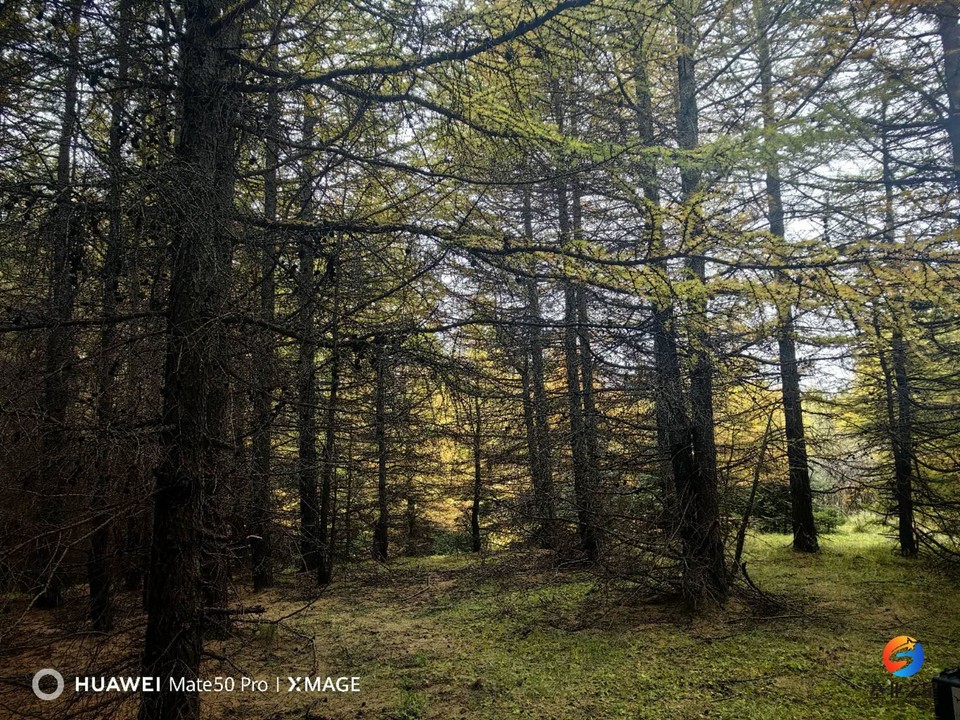 cieNHVt5h4Znmbhv9r-MRjbvSm9ewb3CAxo1R5-EozgqUneY3LBOvbo0gkcP_SSP