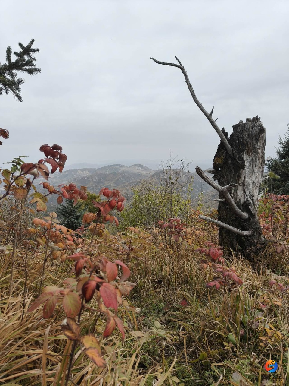 5ZyJbQxT6N3OLSbwL6yBSdHMZupw_qUzOJ2u9kiH1uz9irYDjDrjtGL8Es-q7Oxm