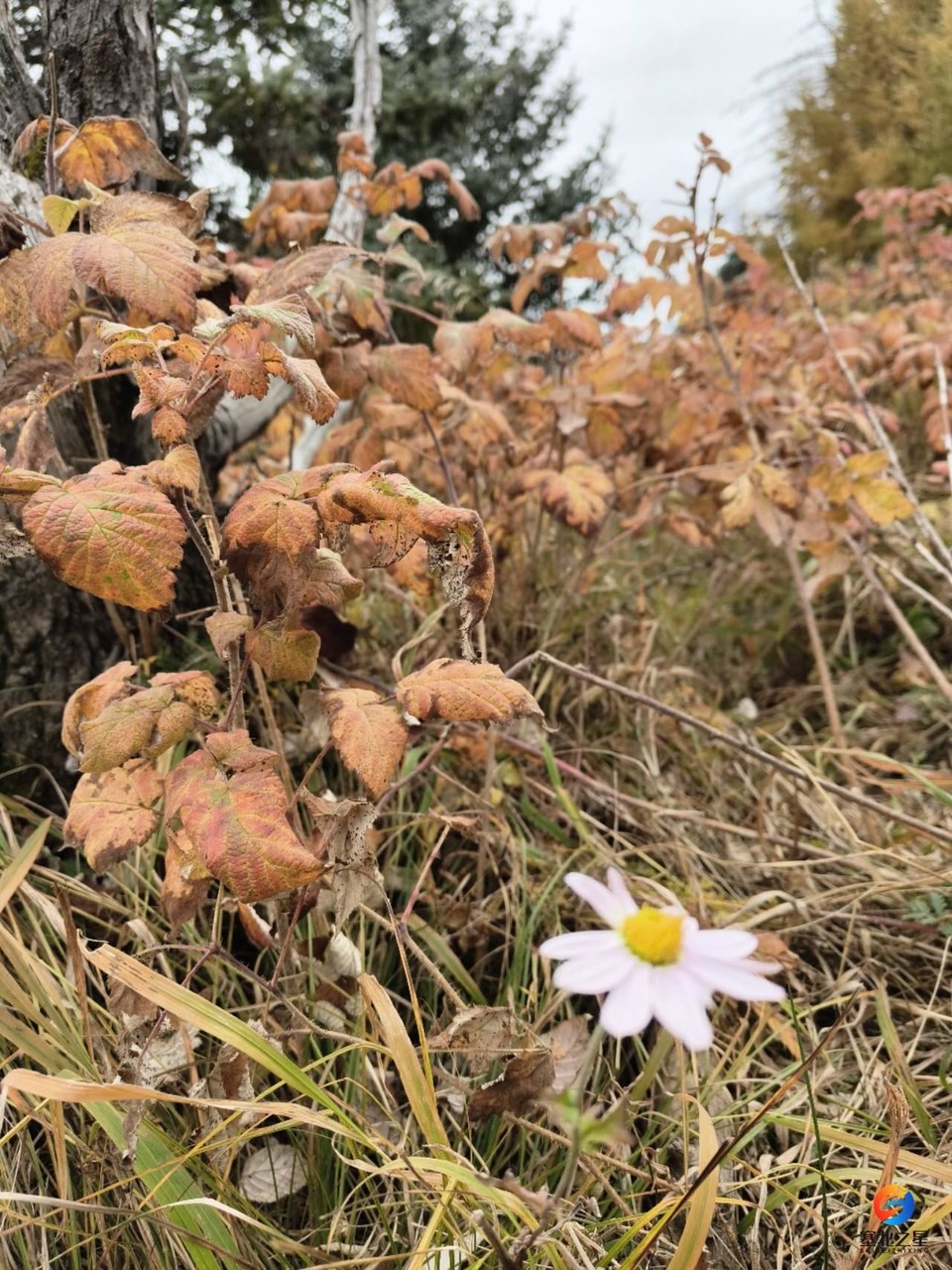 5ZyJbQxT6N3OLSbwL6yBSSHmHBeGdacZi9YljuiJcTycEtm6Zb3r067-CTFRN-21