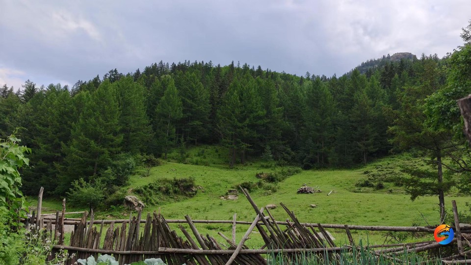 PXb4oDUBr0zggg6lYbWzERzcBpAibuzvsc7uPTQh24IweLyhoWGmyXv8-clRRwXg