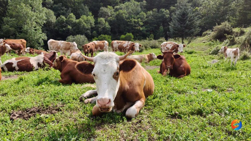 PXb4oDUBr0zggg6lYbWzEWvfHd7usEkdW1MGxdBZw5Ed-ljMK_DXqpxmU1yaIf-j