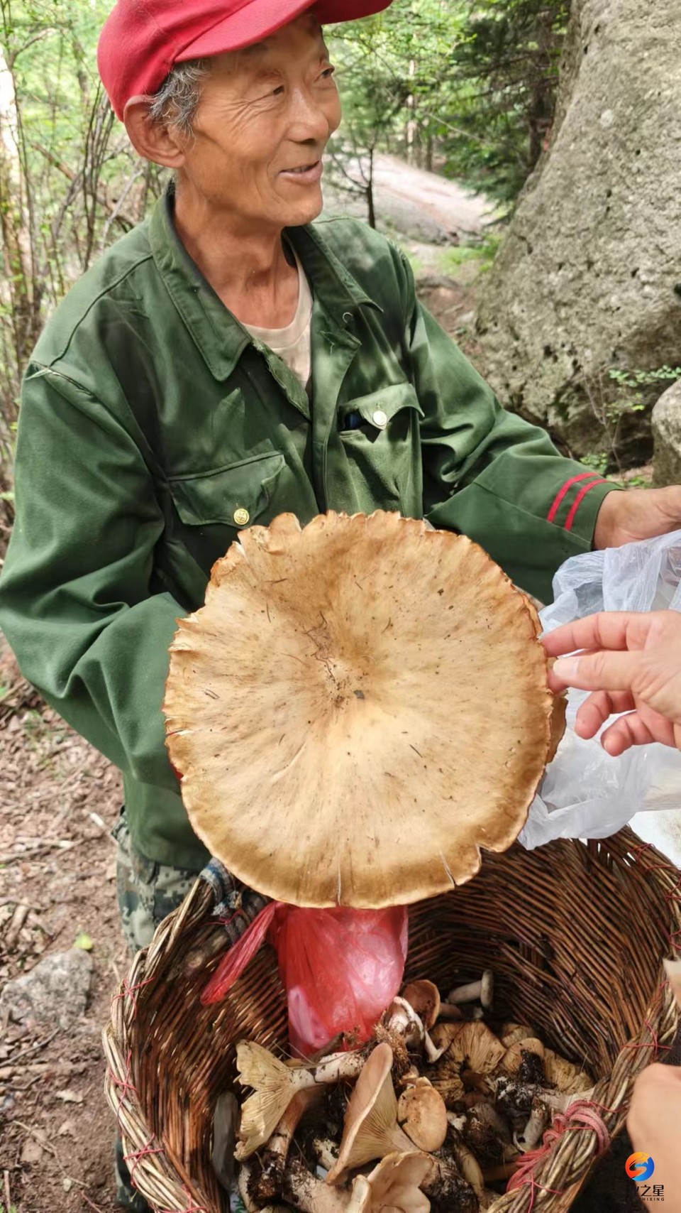 PXb4oDUBr0zggg6lYbWzEW7Z3vLYp_WB-T2G8nzHUKKNMvN5E4ID8xF0--FAnFoJ