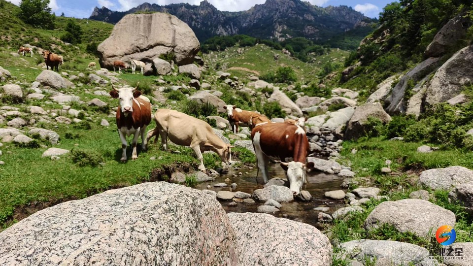 PXb4oDUBr0zggg6lYbWzEe79LTGTwsX_hzwJ8ufh8woBIkGoG3mqLUDJU6uQlD0g