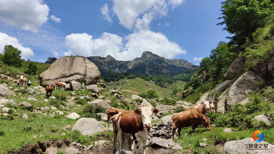 PXb4oDUBr0zggg6lYbWzET_69AvFoMApVQUikEsRAgLHG-gkm_NWr_R-SBRqO6nl