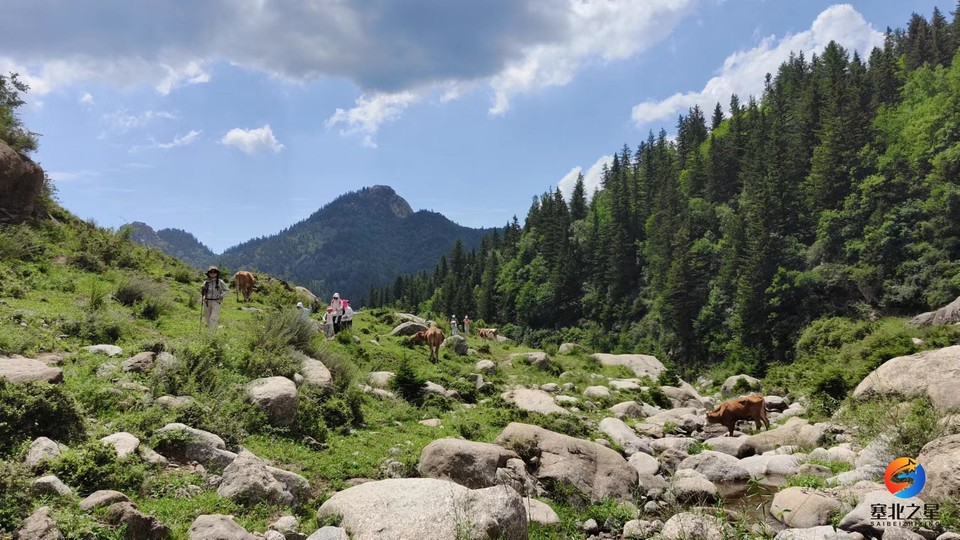 PXb4oDUBr0zggg6lYbWzEfZzA_kLaPBhIrCFPbKQnkVSBZiEzdaR4tb3pEApC05K