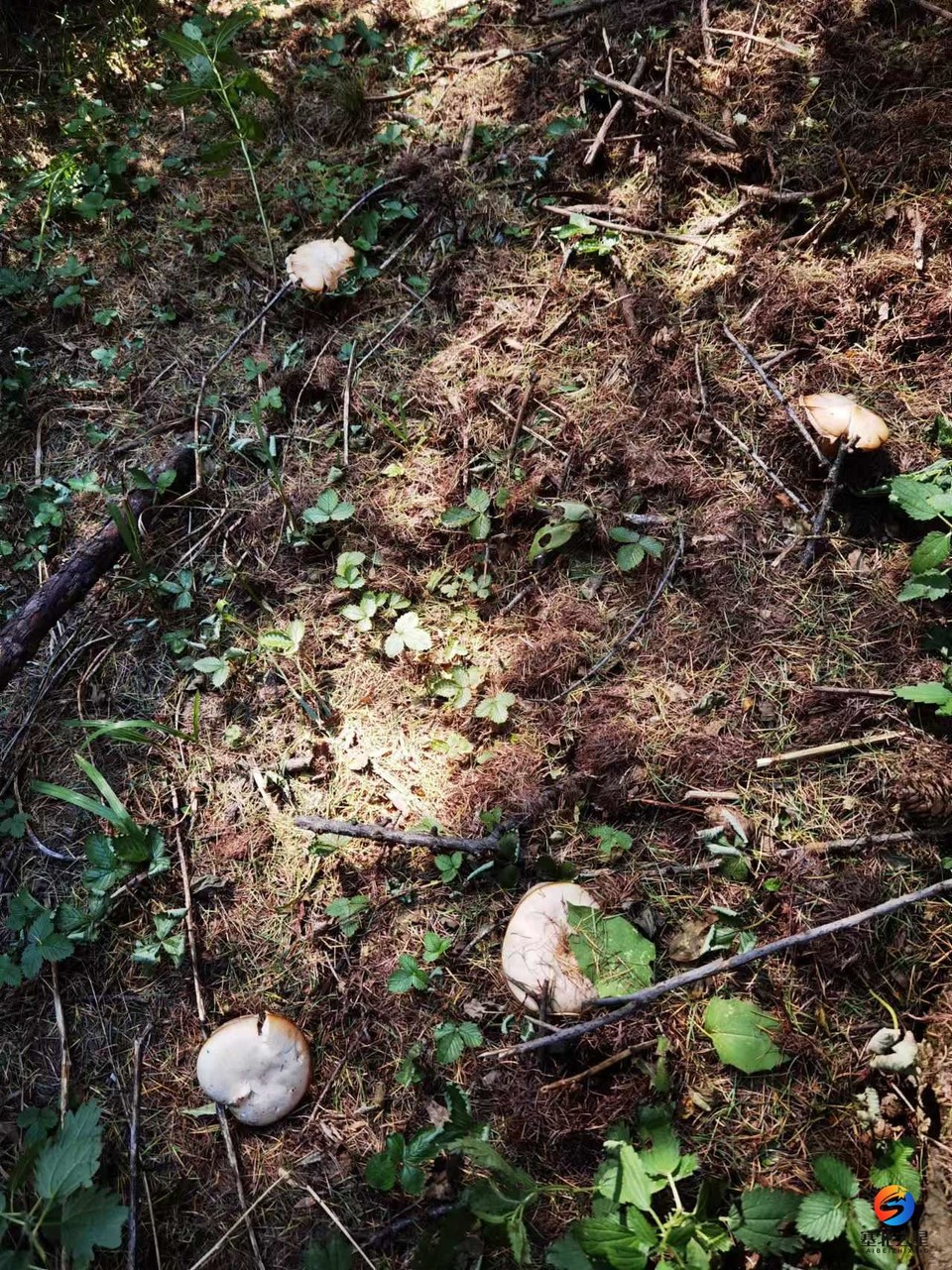 0G22tm0ZMG84TfCI9NRDDX4h4yQyNlF7EPcY9ZHGwdoFQfJfnIn3sgBjXFfSa5mn