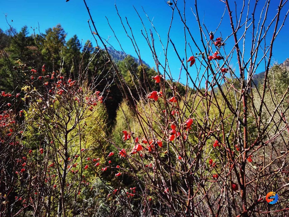 0G22tm0ZMG84TfCI9NRDDV2m4skRWz6qjZHG8_VWQR97OtK8Sqh5Z7Iiy2c2RU2e