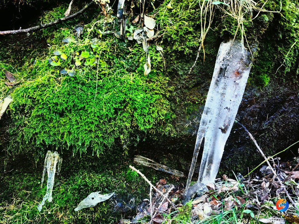 U9gn4p55QnAryMfslu7P5KGT9NKyXJ9kqOH2UM8ugBGwwGeFjiv-fetZ4Lf39z44