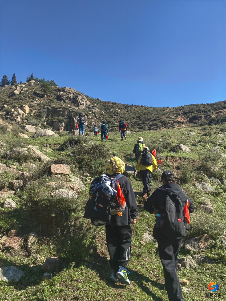 U9gn4p55QnAryMfslu7P5BMdDKWBI71G8BBXaUuwAQrr8YEY64lqStwGkUVOwpmC