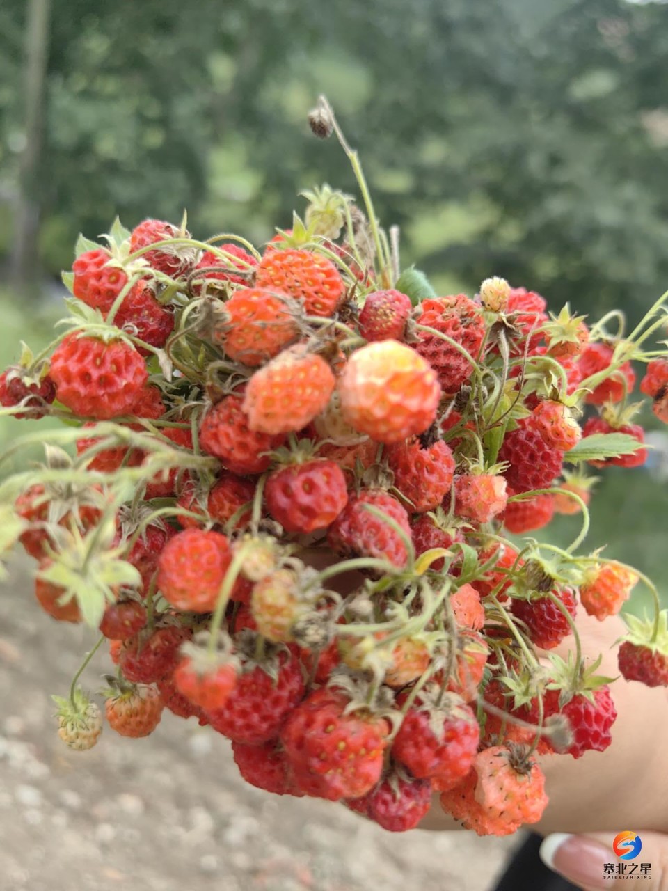 INV2fNxQdf8OD1qa_dn--GE4PkVDSNkMOvuPv6C_05pBrFlbm-r0tAUpsb3aMOOz