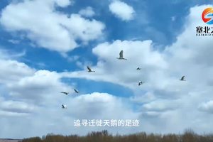 少年行，探索无疆。探索自然