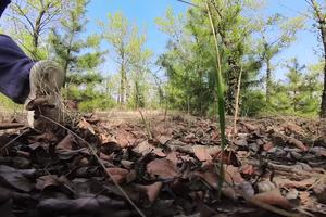 少年行丨上春山青少年户外趣野，自然科普 身心健康           