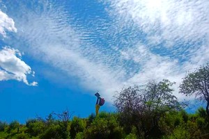 周末健康行丨后悔没早点发出来，三伏天清凉避暑必看！