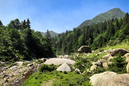 周末健康行丨假期热门 避暑圣地,芦芽山小众路线,探索醉美秘境+沿途可玩水 可亲子