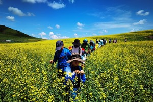 深度探索体验   心之所向，步履不停 ▏呼伦贝尔48公里轻徒步挑战