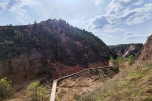 第三节高寒岭牡丹节