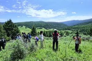 倾听大自然远古的回响