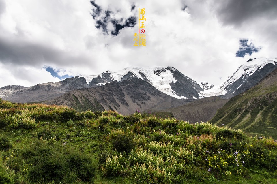 QQ图片20160831171612