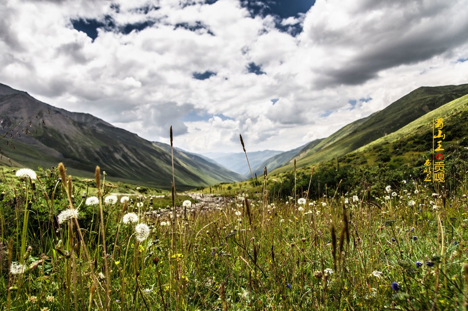 QQ图片20160831171645