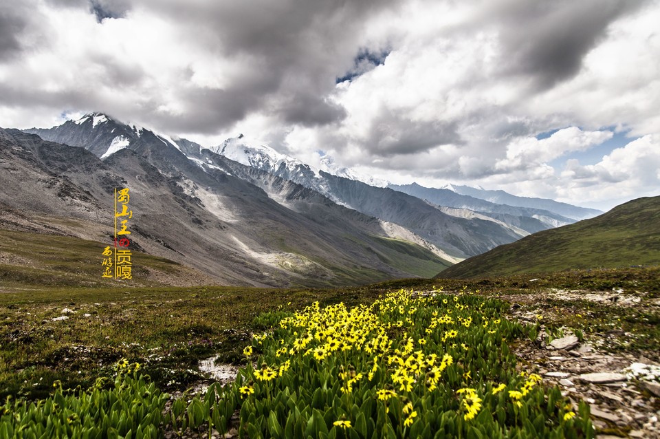 QQ图片20160831171659