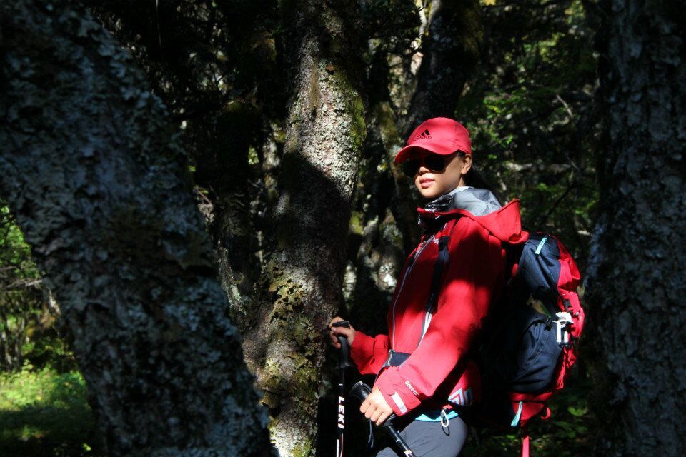 QQ图片20160831165910