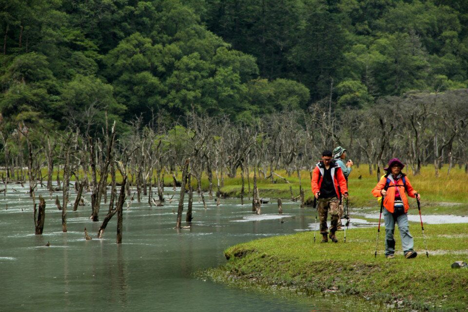 QQ图片20160831165958